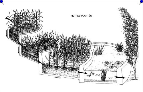Principe des filtres plants